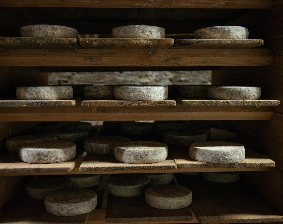 laiterie des marches savoir faire cave affinage fromages savoie